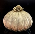 209049 2026 Urn bloem 800